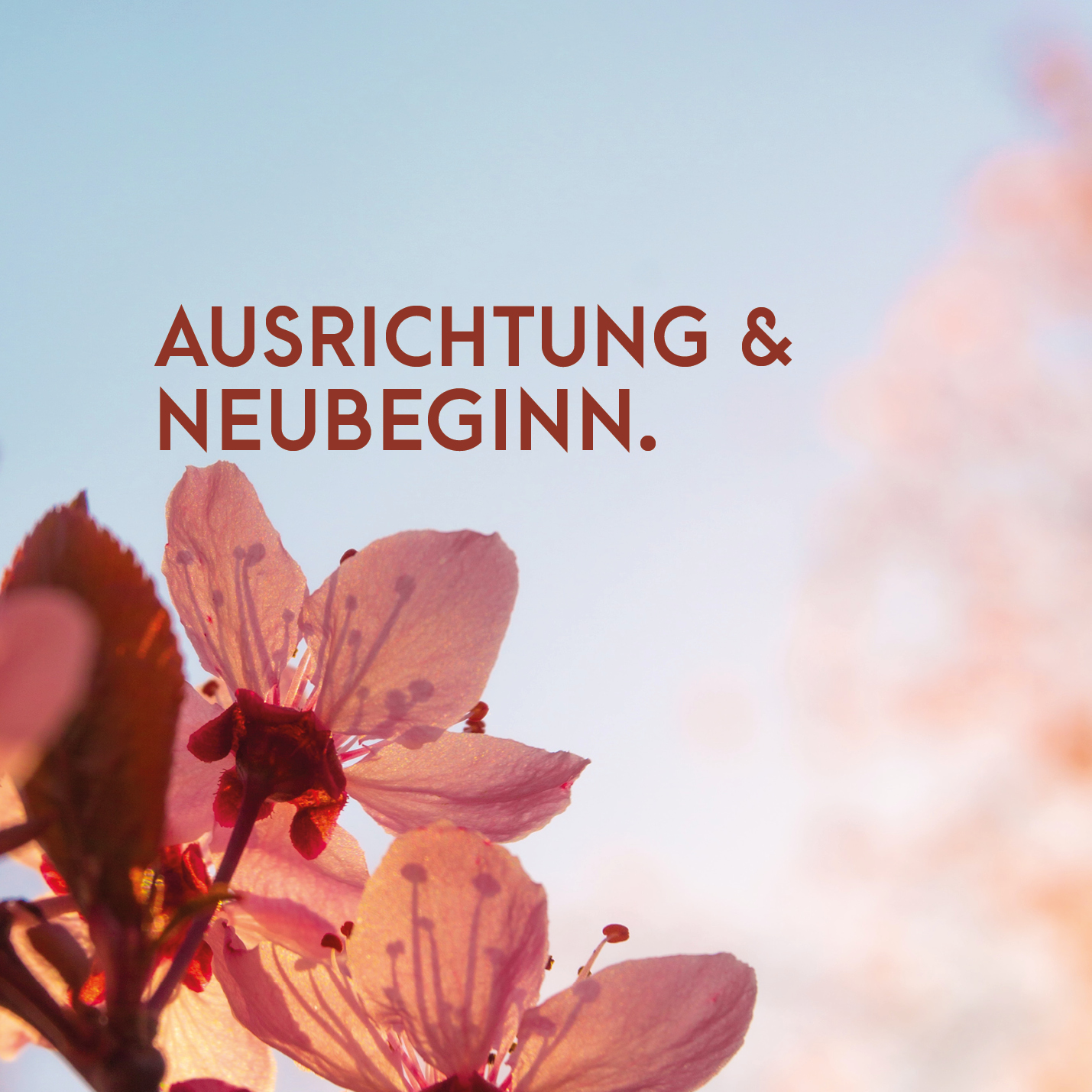 YOGAWOCHENENDE im Frühjahr 2024